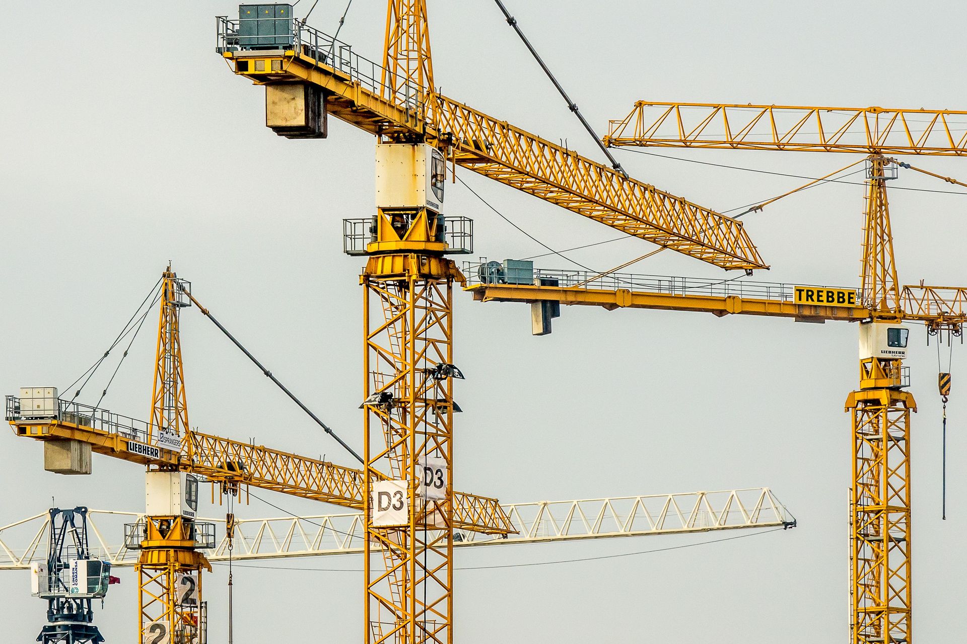 Cluster of yellow tower cranes at a construction site with a gloomy sky background.